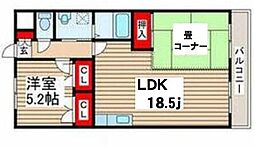 佐倉ハイツ　Ｓ棟 102