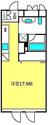ゼルコヴァ