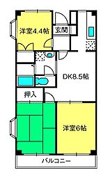 サンシャイン大成