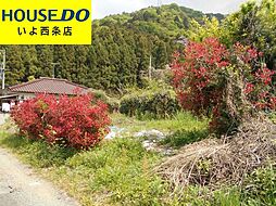 西条市早川の土地