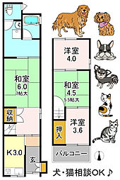 大阪市東住吉区桑津5丁目の一戸建て
