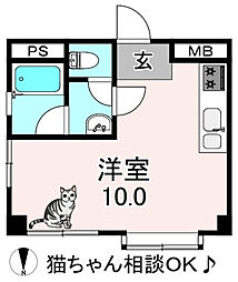 シード平野
