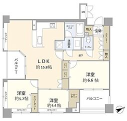 ルイシャトレ中野