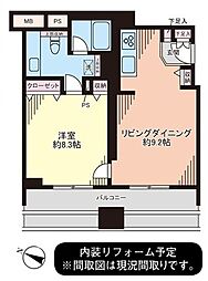 レグノ・セレーノ