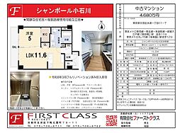 シャンボール小石川　1LDK 309