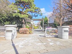 柏市柏451番　A区画 A号地