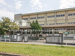 松戸市中金杉4丁目216番　A区画 A号地