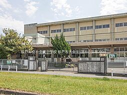 松戸市大金平5期 1号地 2号地