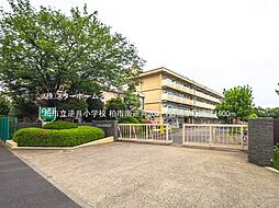 柏市南逆井203　1区画　1区画
