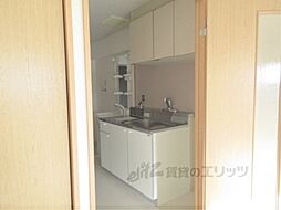 Ｍｙ-ｌｙ-ａｎｅ（マイリ―アン） 503