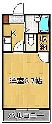 クローバー藤原