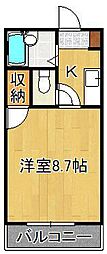 クローバー藤原