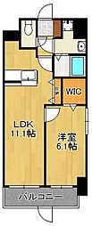 エヴァーグリーンR