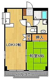 クレベール紅梅