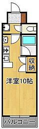 ベルガ菅原