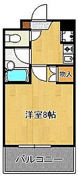 ベルガ菅原