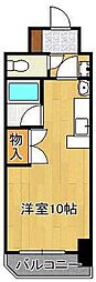 ベルガ菅原