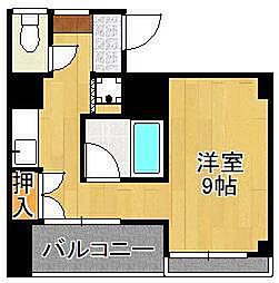 ベルガ菅原