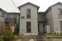 ドミエールA 101