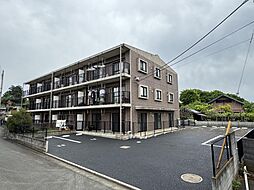 フェストーソカーネ 201