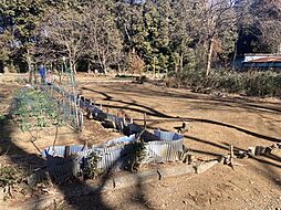 家庭菜園利用〜蓮田市江ヶ崎字西　売土地〜