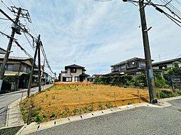 南花園2期