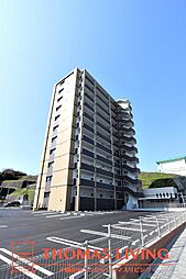 エヴァーグリーンR 101