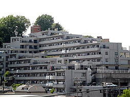 ニューウエルテラス元住吉 602