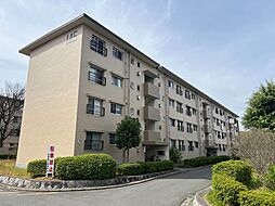 金剛第二住宅　145棟