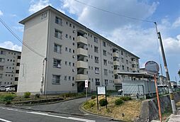 金剛第三住宅　213棟