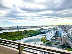 ブル一ジュ東大島