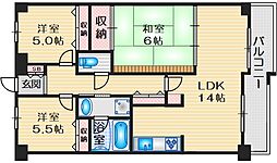アコール隆豊 505