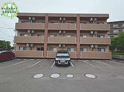 トレステーラUG 205