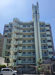 ルミュー貝塚 702