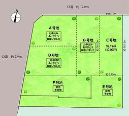 亀の井１６ Ｃ号地