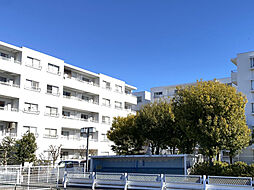 共立第二栢山マンション 2号棟201号室