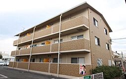 パーチェ・青江