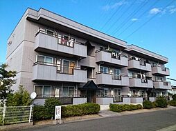 エルディムパディA
