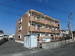 アンティム