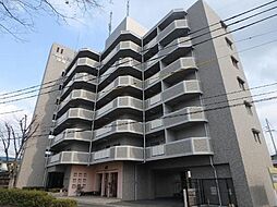 アリベ国富