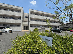 セレ　グレージュ