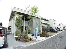 グレースセゾン　樹