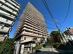 ビューネタワー平井