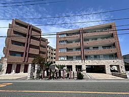 メビウスブレイン油壷マリナテラス