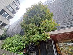 チュリス氷川坂