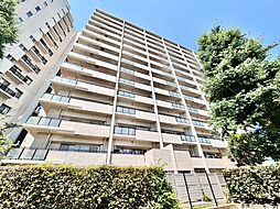 グランドメゾン杉並シーズン