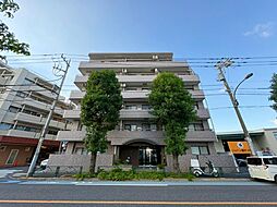 ドムール江古田