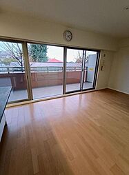 ルネ・ヒルトップフラッツ