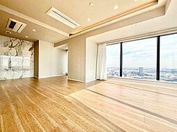 シティタワーズ豊洲ザ・ツイン