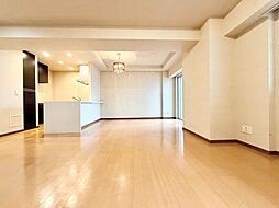 ブリリアタワー川崎